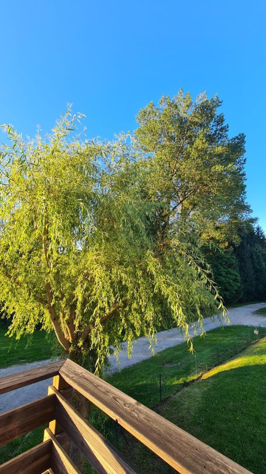 Sous Le Saule Apartment Nods Bagian luar foto