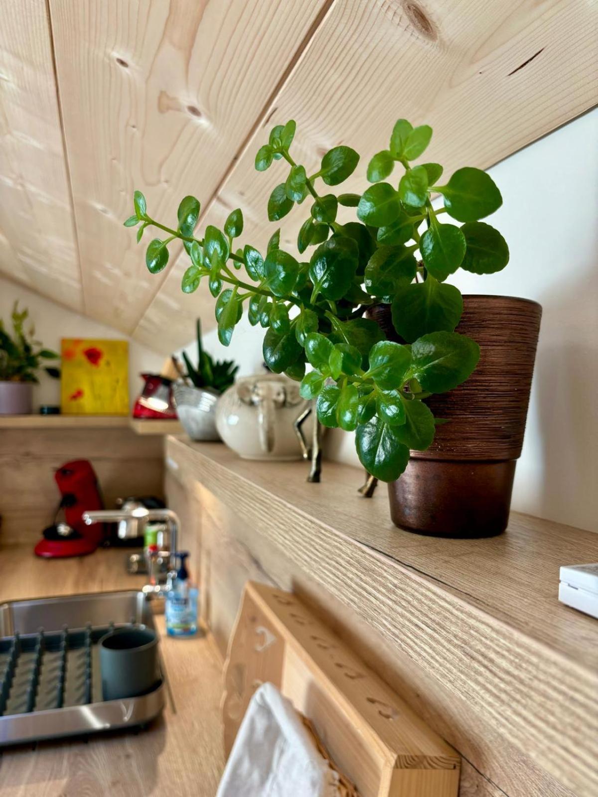 Sous Le Saule Apartment Nods Bagian luar foto