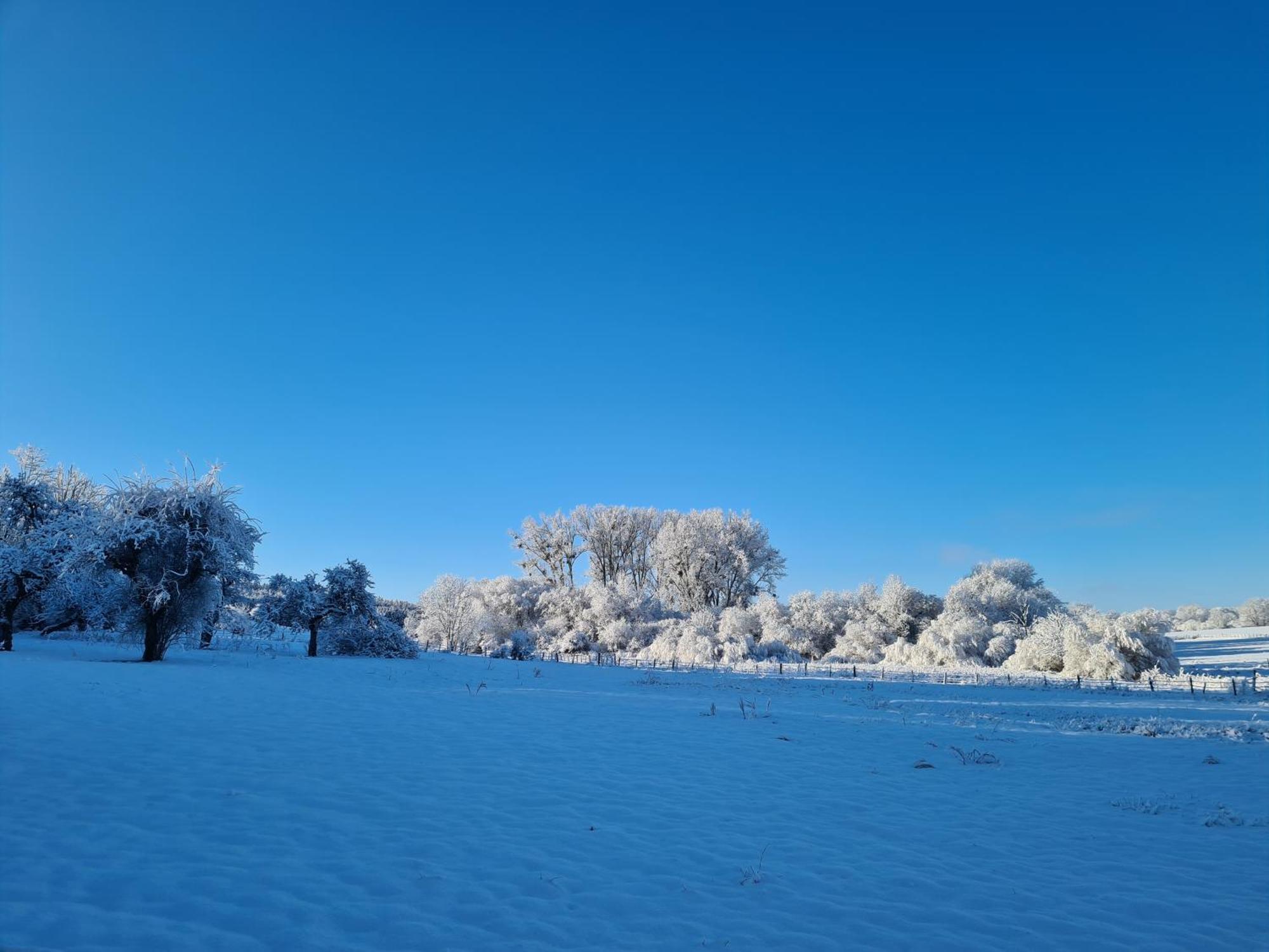 Sous Le Saule Apartment Nods Bagian luar foto